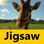 Safari Jigsaw Puzzles
