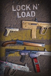 Lock n' Load Weapons Pack