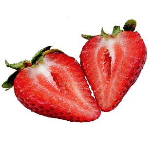 IBS Fodmap