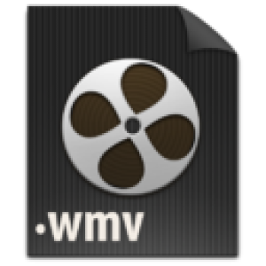 MP4 to WMV Converter