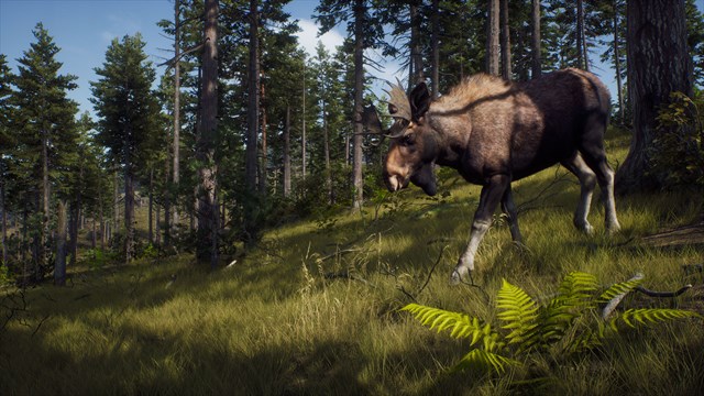 Way of the Hunter: Map Pack 1 screenshot 1