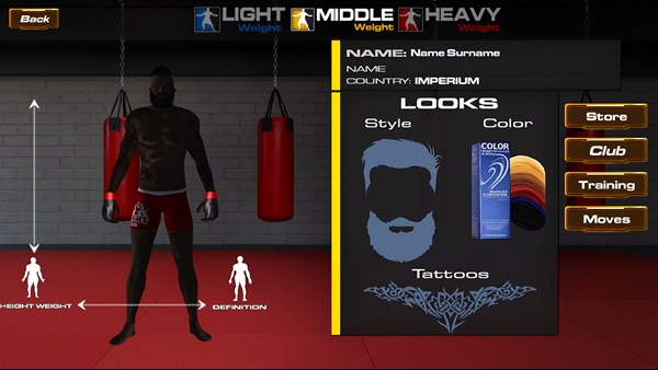 UFC Simulator MMA Championship — 12