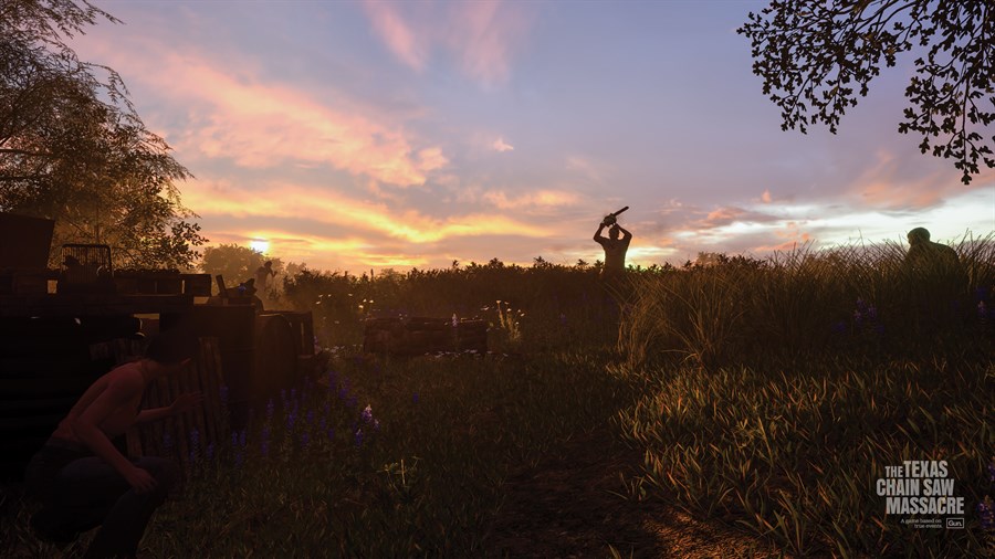 Full Size Image