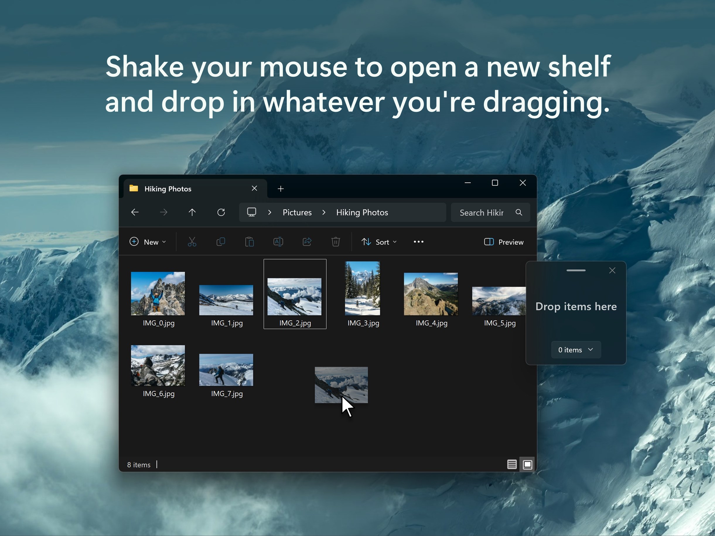 Dropshelf screenshot