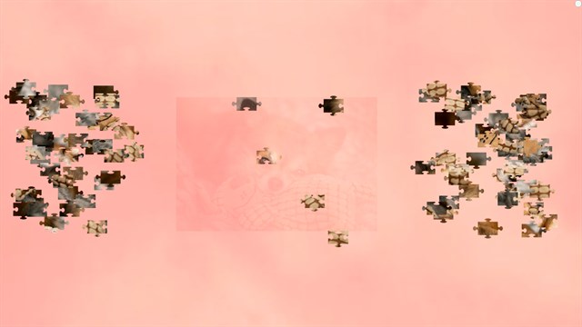 Puppies Jigsaw Puzzles screenshot 1