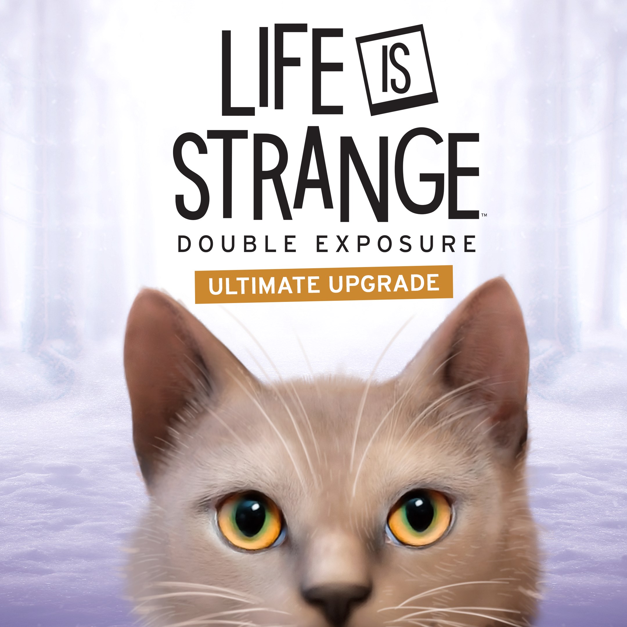 Atualização Definitiva de Life is Strange: Double Exposure