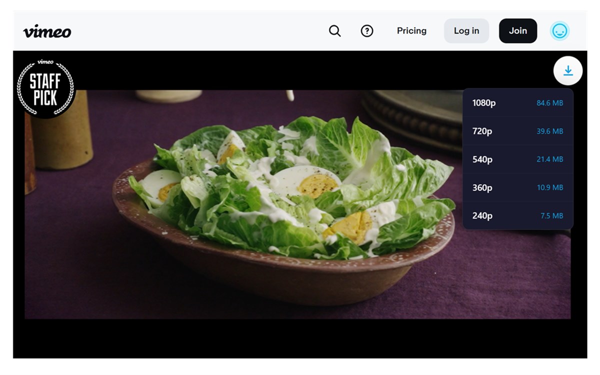 Vimeo Download