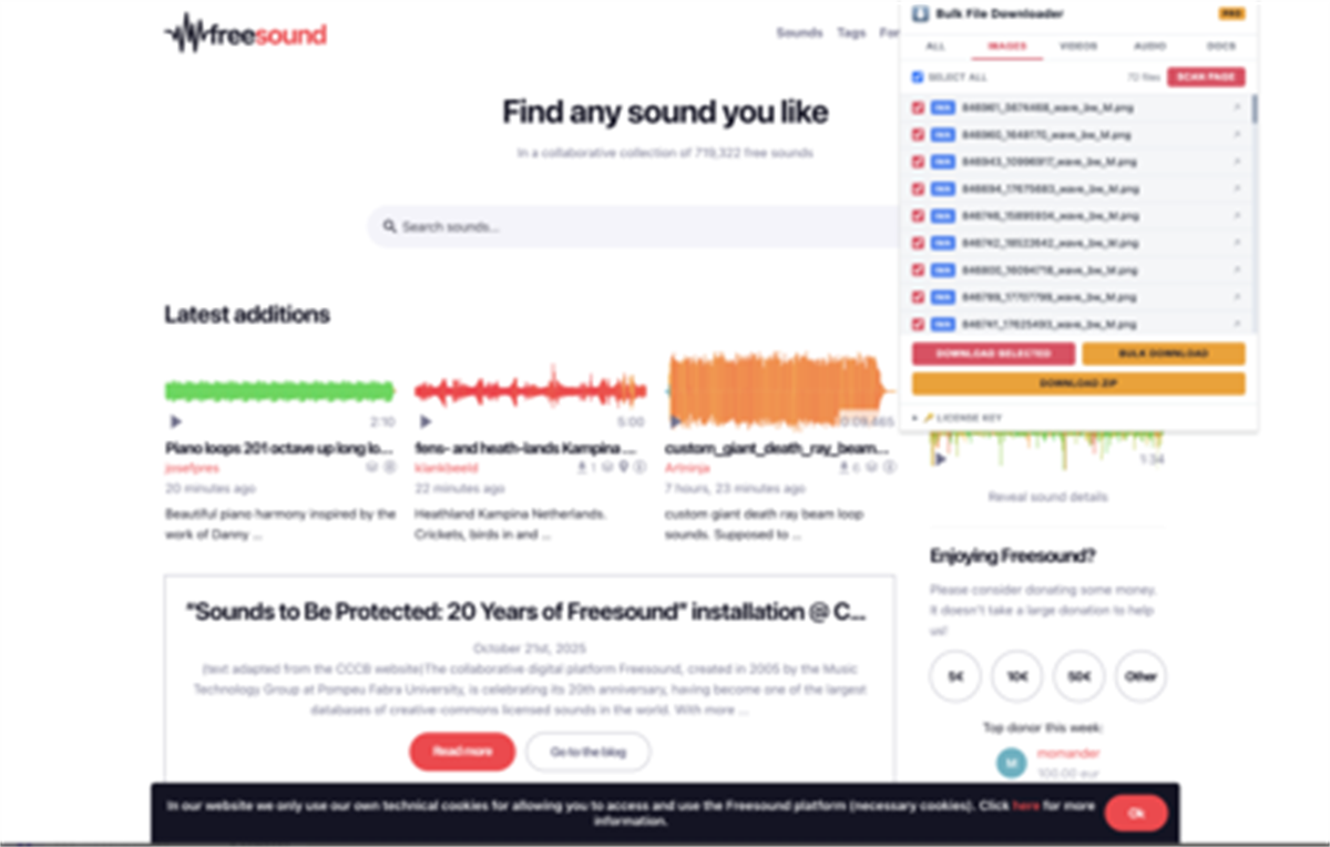 Bulk File Downloader