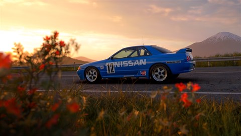Придбати Forza Horizon 6: 1990 Nissan #12 Skyline GT-R (BNR32 Gr.A