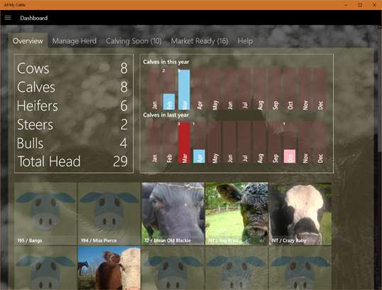 All My Cattle screenshot 1