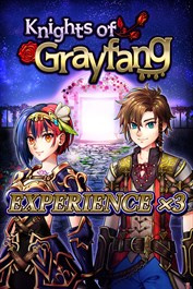 Damage x2 - Knights of Grayfang