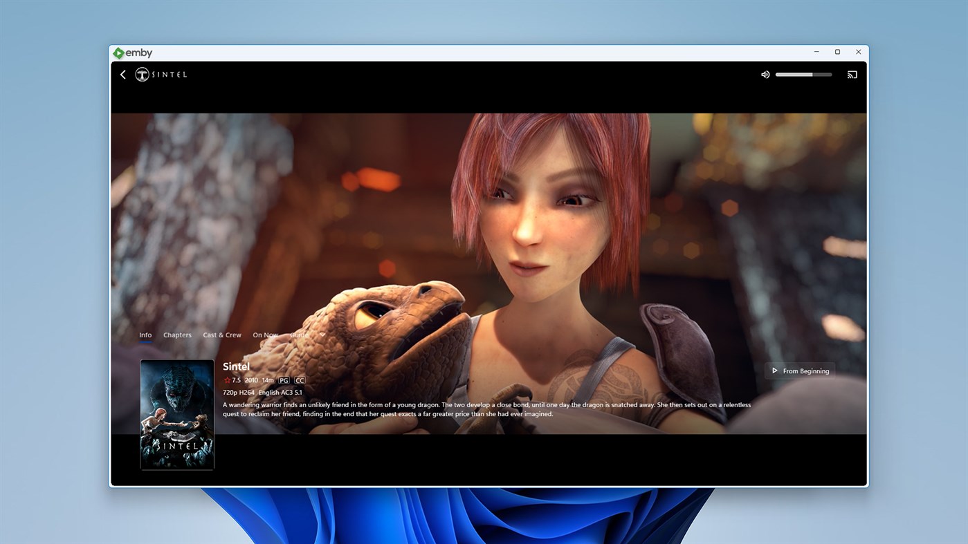 #4. Emby (Windows) Door: Emby LLC