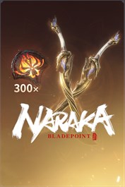 Standard-Edition Paket