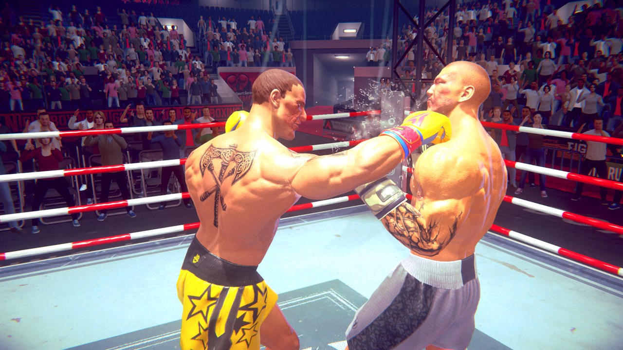 Casual Sport Series: Boxing screenshot 1