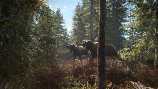 theHunter™: Call of the Wild - Reserve Bundle screenshot 8