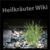 Heilkräuter Wiki