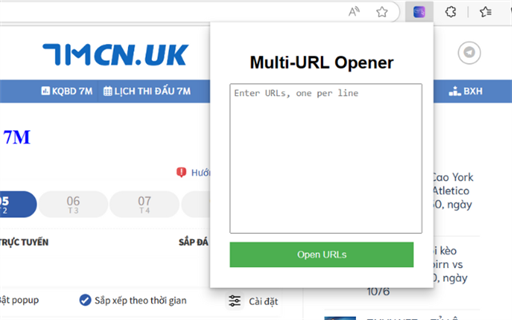 Multi-URL Opener - Open Multiple URLs Simultaneously