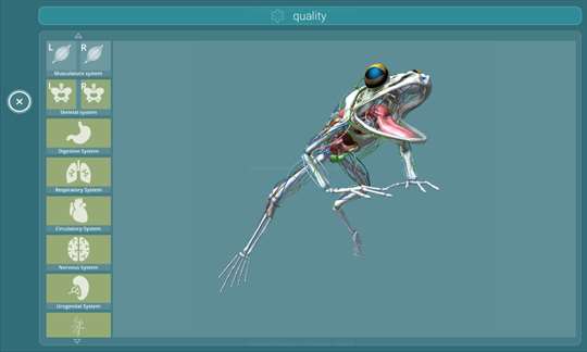 Visual Anatomy - Frog screenshot 7