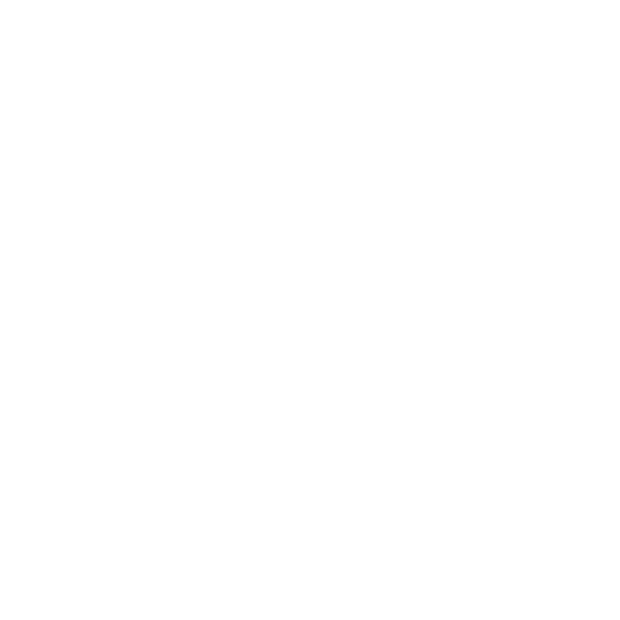 SG iBus