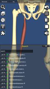 3D Human Anatomy screenshot 6