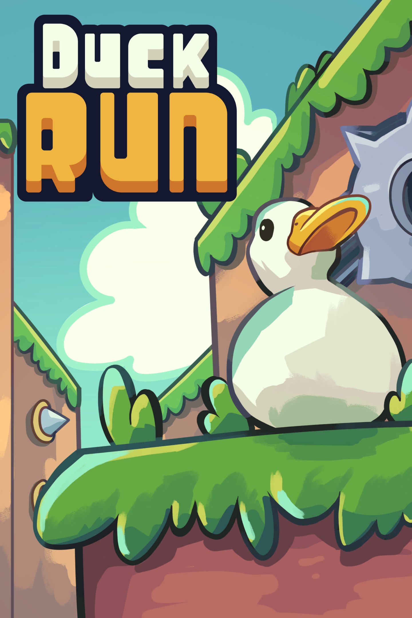 Duck Run (Windows) image