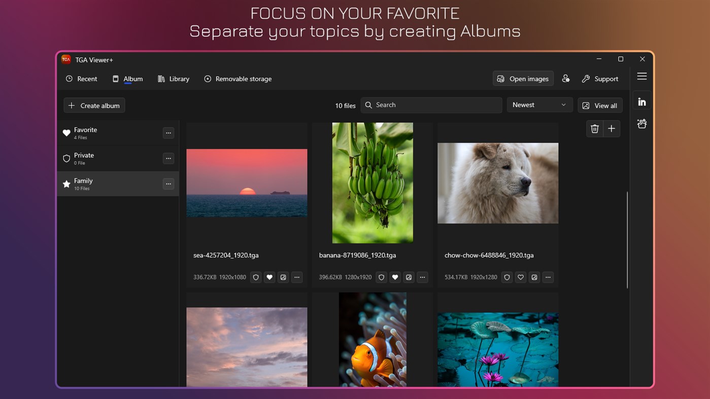 #3. TGA Viewer+ (Windows) โดย: IO Vision