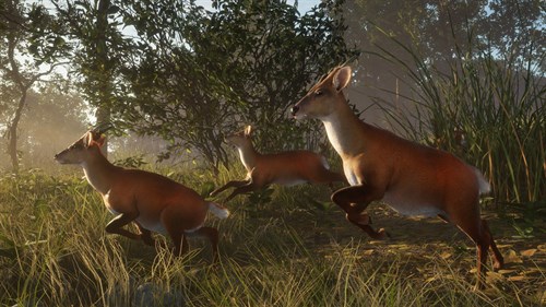 theHunter: Call of the Wild™ - Sundarpatan Nepal Hunting Reserve