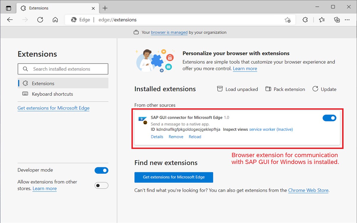 SAP GUI Connector for Microsoft Edge
