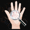 Palm Reading Premium