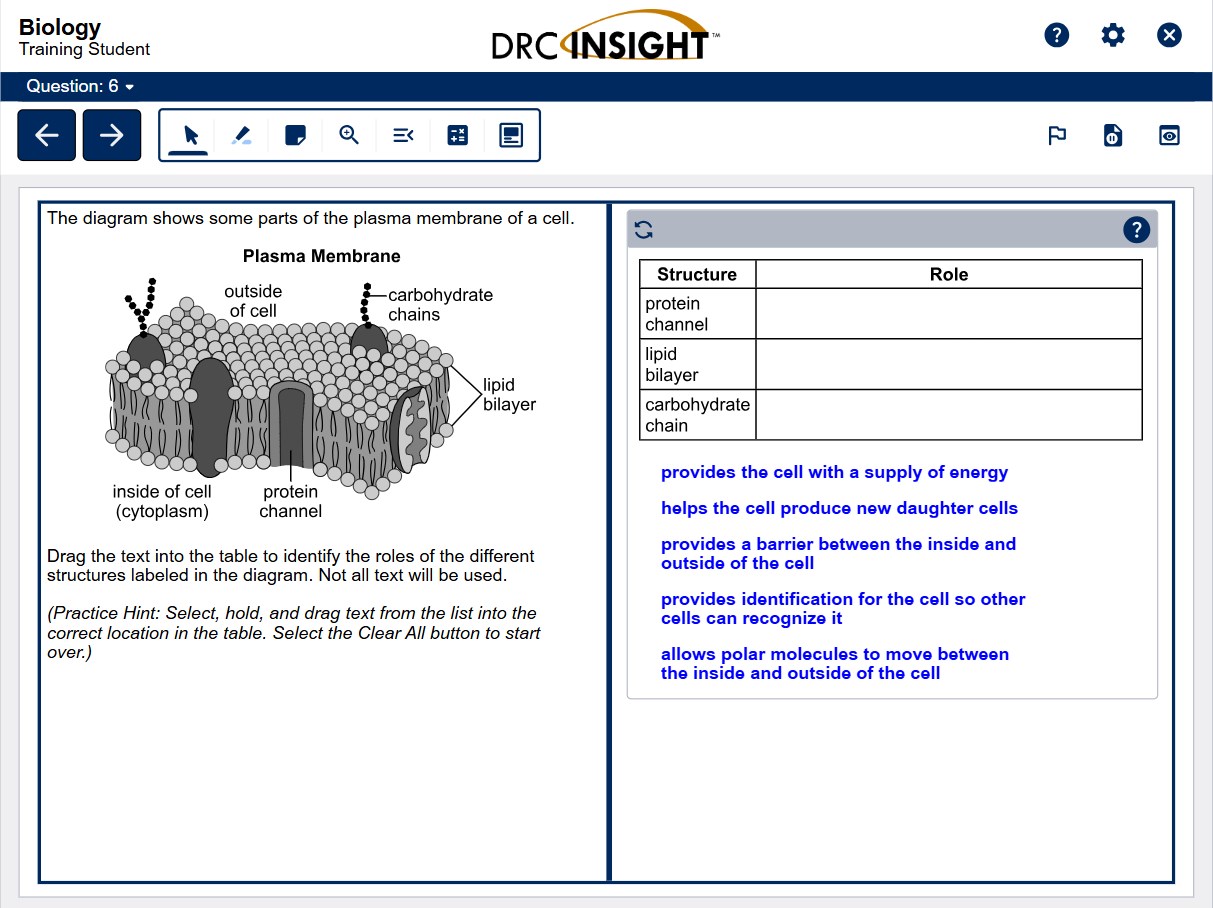 DRC INSIGHT screenshot