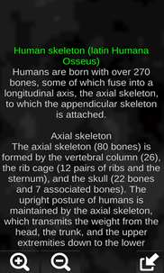Human skeleton (Anatomy) screenshot 3