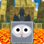 Cubic Temple Animal Run