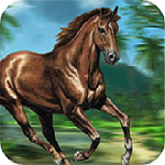Jungle Horse Run