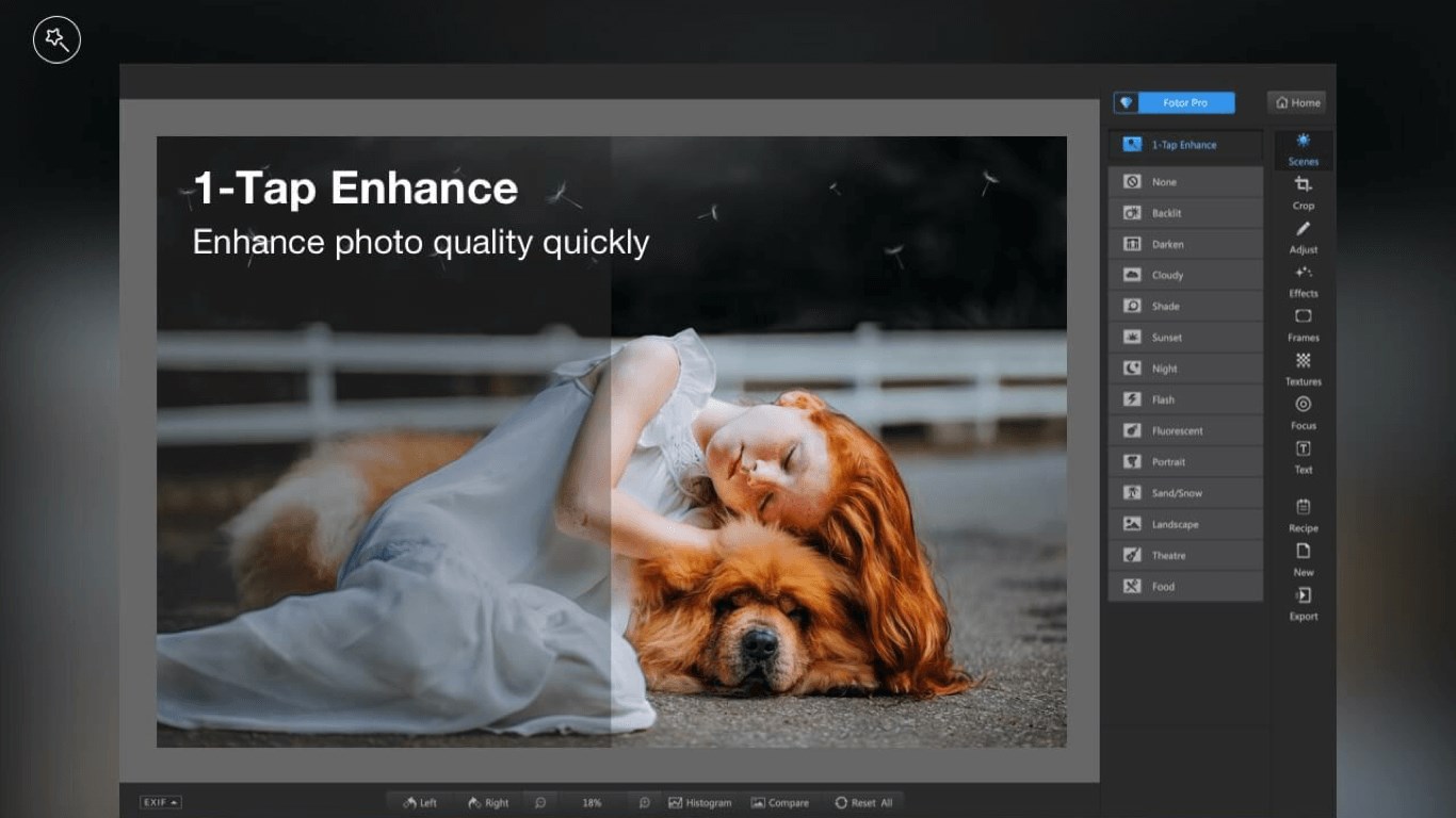 Windows Photo Editor  Photo Editor for Windows 10 Free Download - Fotor