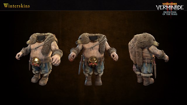 Warhammer: Vermintide 2 - Frost-Guard Collection screenshot 3