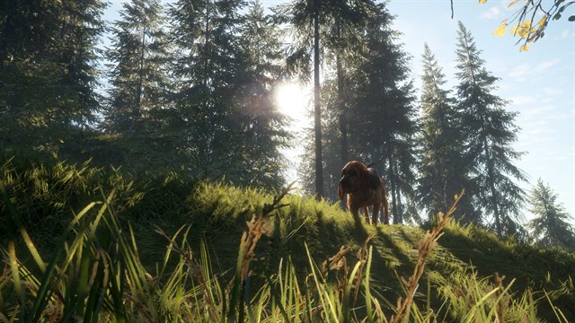 theHunter: Call of the Wild - Bloodhound screenshot 2