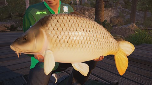 Fishing Sim World: Pro Tour