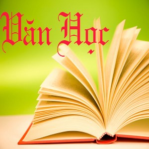 Những Bài Văn Hay