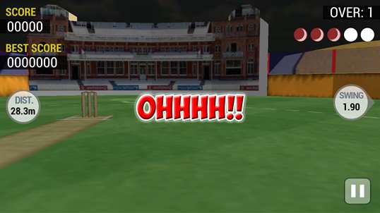 Cricket Run Out 3D screenshot 5