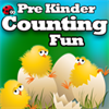 Pre-Kinder Counting Fun