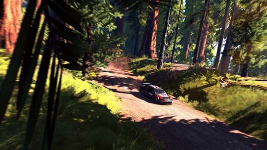 V-Rally 4 Ultimate Edition screenshot 7