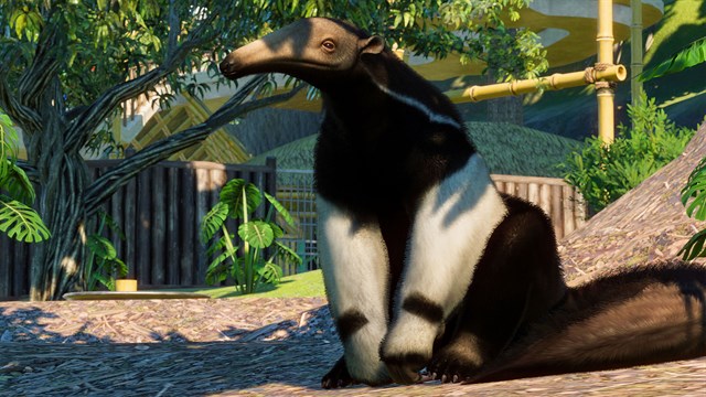 Planet Zoo: Australia & South America bundle screenshot 4