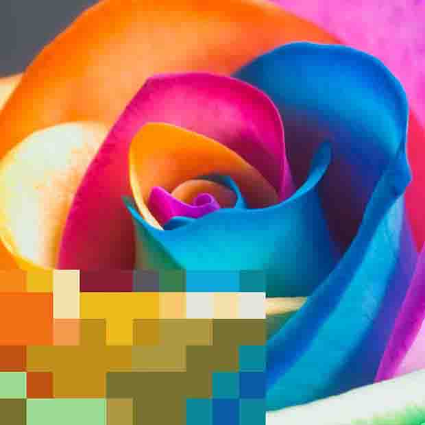 Mosaic Coloring Book Pages - Adult Color by Number