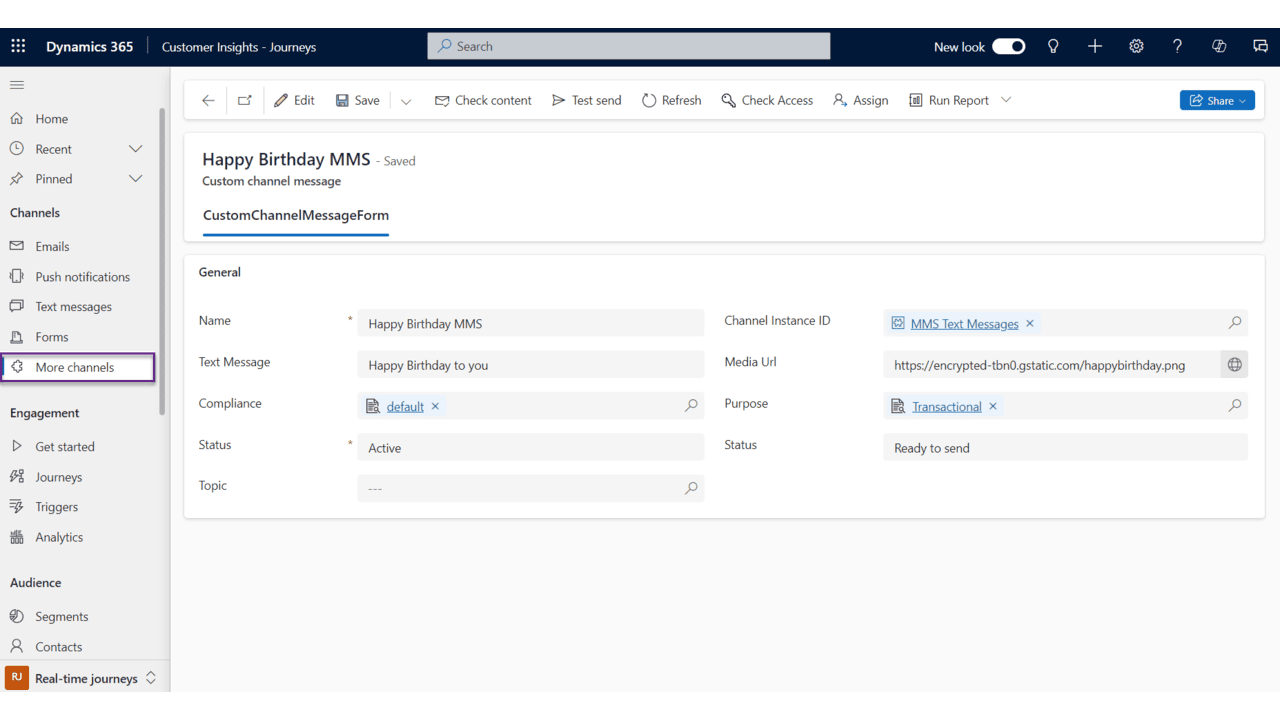 Snapshot 3 of Dynamica MMS for Customer Insights and Journeys