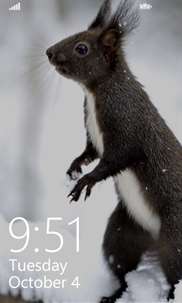 Squirrel LockScreen screenshot 2