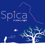 Spica in starry night - 星空指数 -