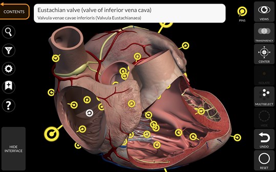 Anatomy 3D Atlas screenshot 2