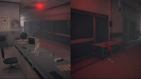 Little Strays 2 — 7