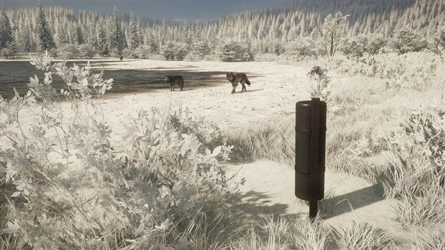 theHunter: Call of the Wild - Game Feeder Pack 2 screenshot 3