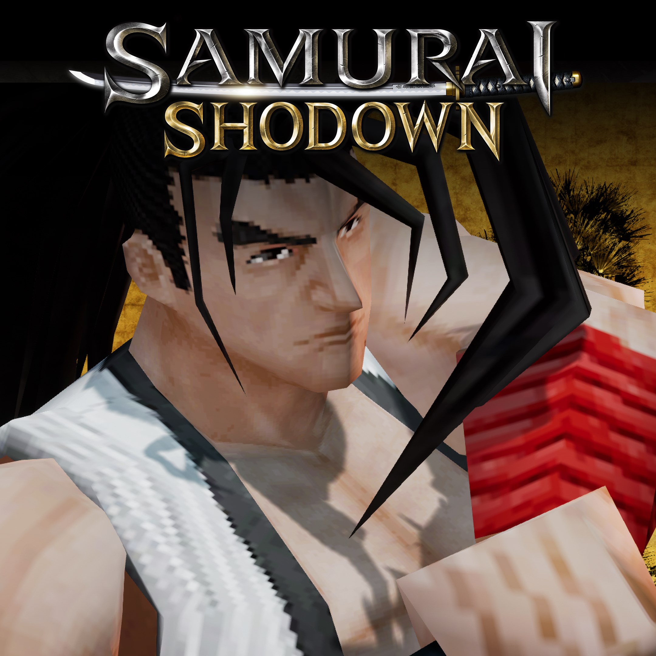 DLC COSTUME "RETRO 3D: HAOHMARU"